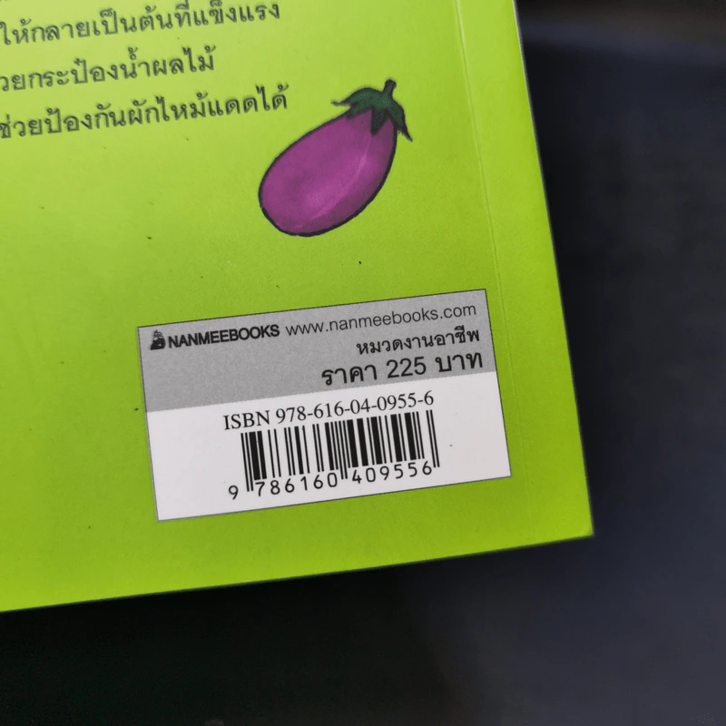ปลูกผัก กินเอง แบ่งได้ ขายด้วย รูปที่ 14