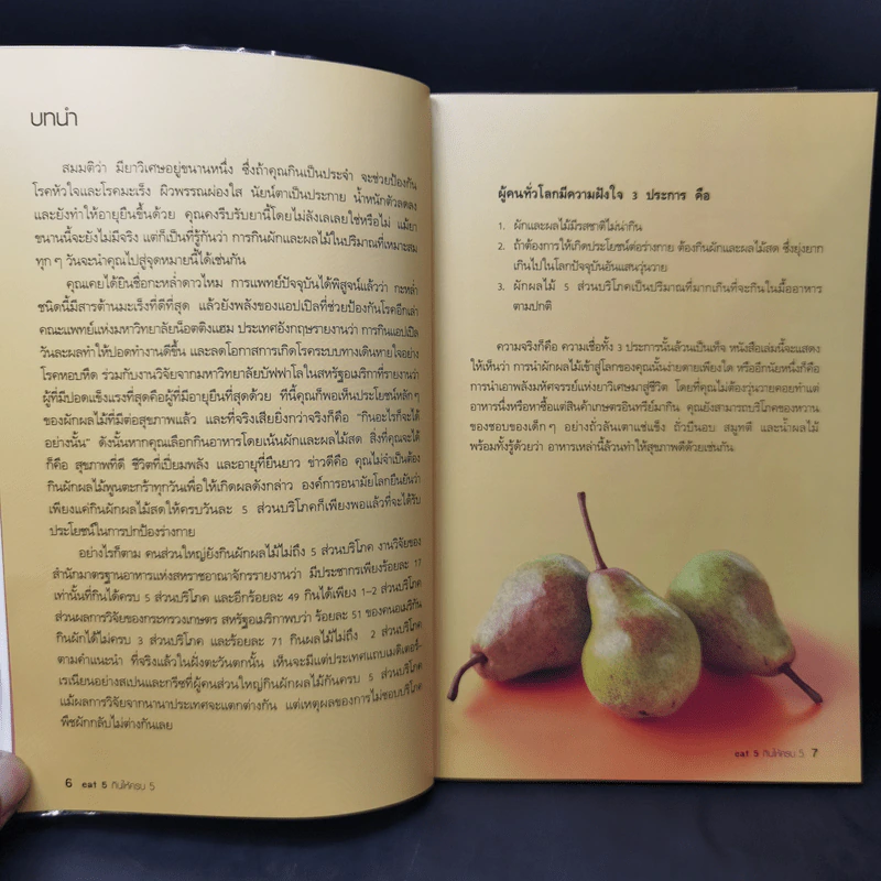 eat 5 กินให้ครบ 5 - Helen Foster รูปที่ 11