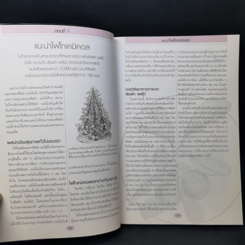 คู่มือดูแลสุขภาพด้วยสุดยอดสารอาหาร - Lyndel Costain รูปที่ 12