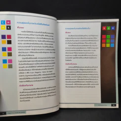 ชุดสีโดนใจ Creative Color Schemes - ธวัชชัย ศรีสุเทพ รูปที่ 10