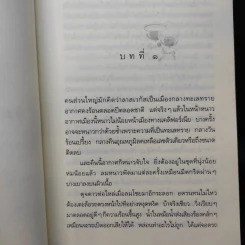 หิมะกลางทะเลทราย - กิ่งฉัตร รูปที่ 9
