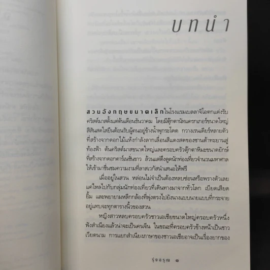 รุ่งอรุณ - กิ่งฉัตร รูปที่ 9