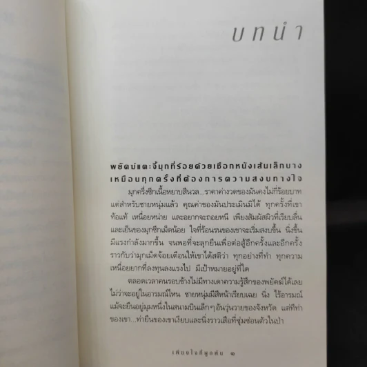 เพียงใจที่ผูกพัน - กิ่งฉัตร รูปที่ 12