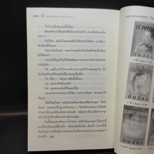 หิมะกลางทะเลทราย - กิ่งฉัตร รูปที่ 11