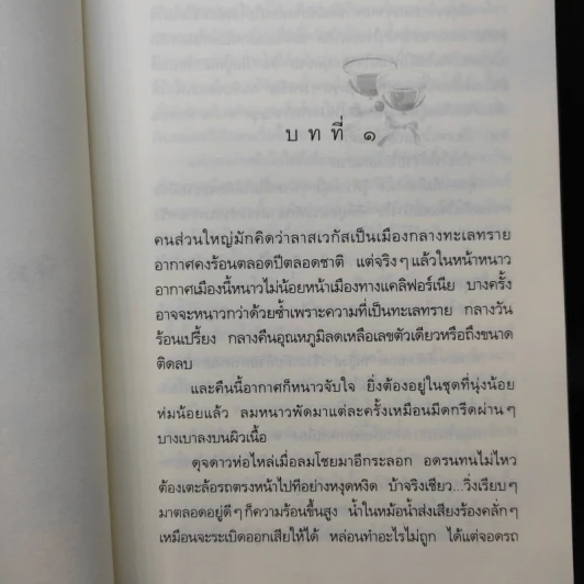 หิมะกลางทะเลทราย - กิ่งฉัตร รูปที่ 9