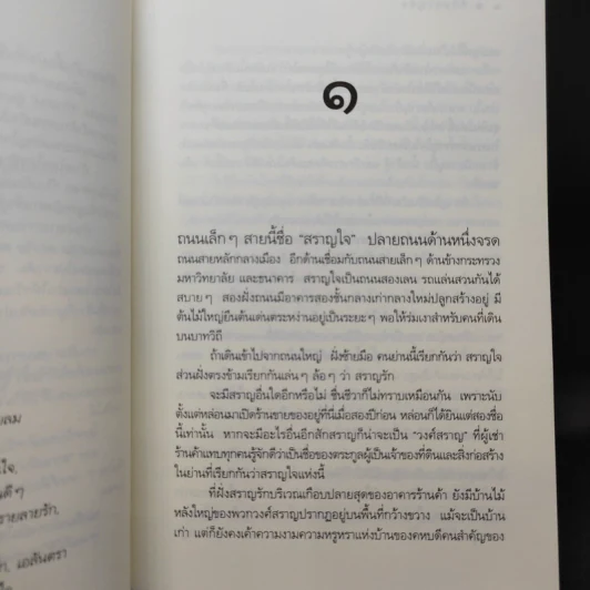 รักสราญใจ - ดวงตะวัน รูปที่ 9