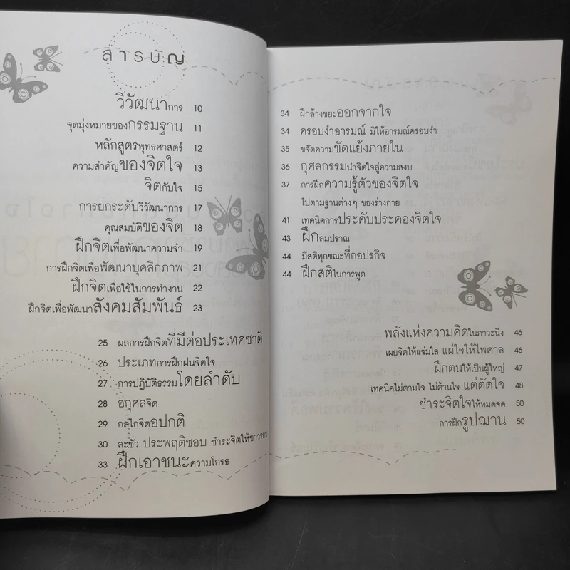 ผู้คนที่รู้จักฝึกจิต จะชนะใจตัวเอง สามารถเปลี่ยนทุกอย่างในชีวิตให้ดีขึ้นได้ ภายในเวลาที่เหลือเชื่อ - แม่เหงี่ยม รูปที่ 12