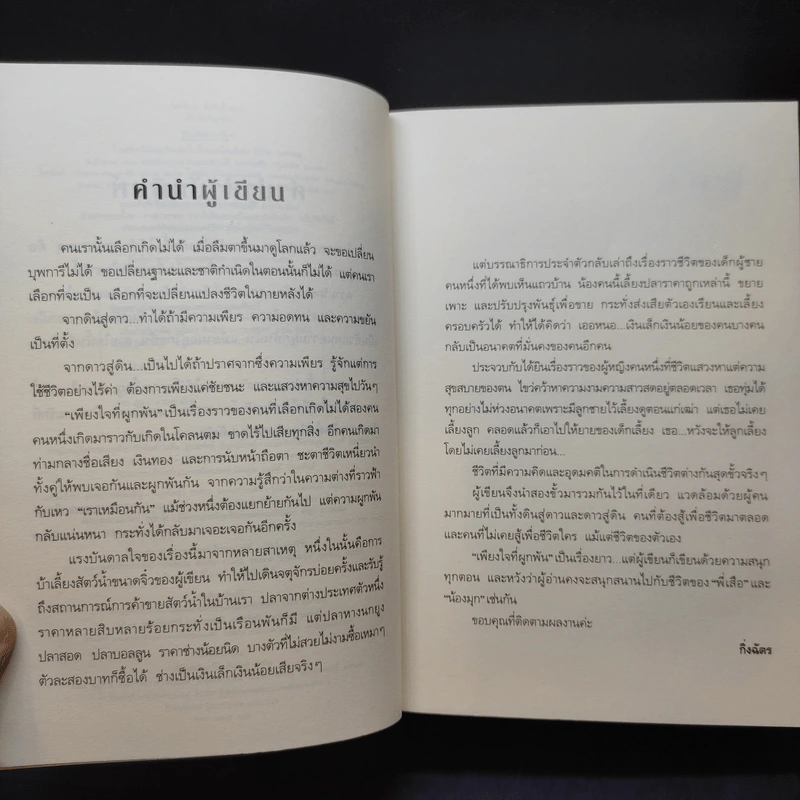 เพียงใจที่ผูกพัน - กิ่งฉัตร รูปที่ 11