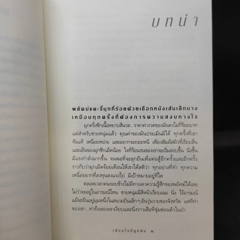 เพียงใจที่ผูกพัน - กิ่งฉัตร รูปที่ 12