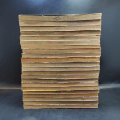 จอมเกบลูส์ เล่ม 4,8,10,14-17,20-24,26,27,29,31,33,34,39-42 รูปที่ 4