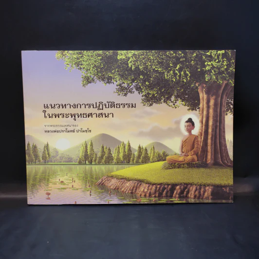แนวทางการปฏิบัติธรรมในพระพุทธศาสนา - หลวงพ่อปราโมทย์ รูปที่ 1