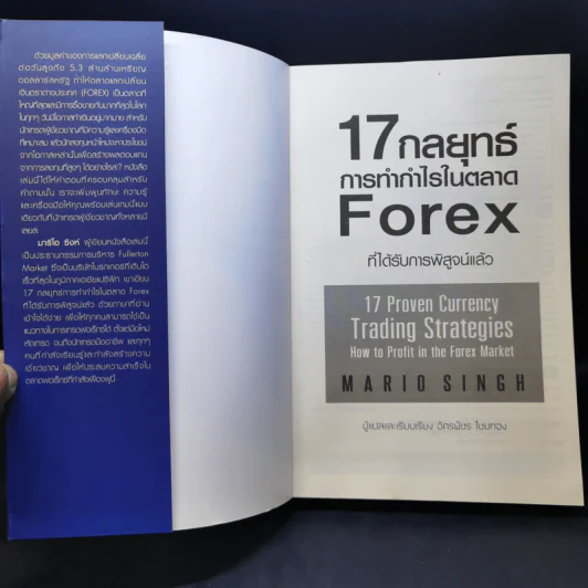 17 กลยุทธ์ การทำกำไรในตลาด Forex - Mario Singh รูปที่ 9