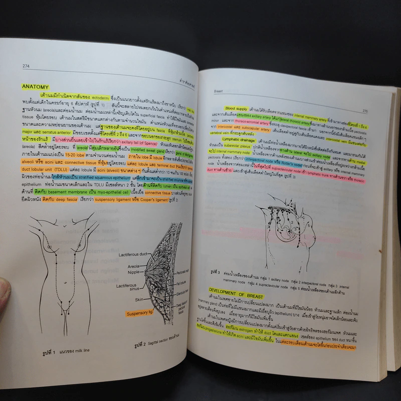 ตำราศัลยศาสตร์ - สำนักพิมพ์แห่งจุฬาลงกรณ์มหาวิทยาลัย รูปที่ 15