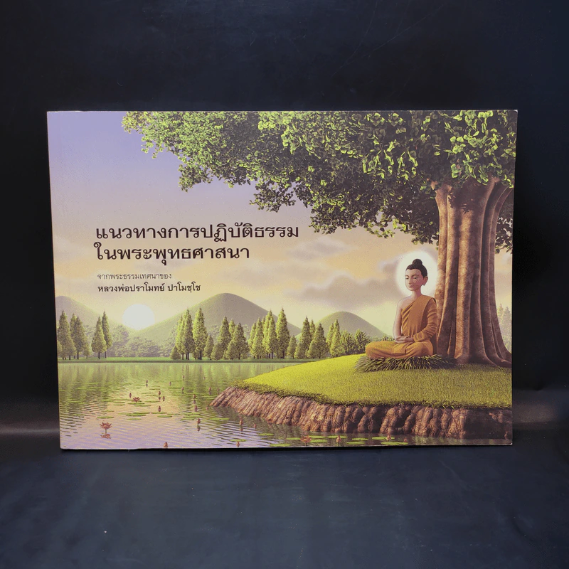 แนวทางการปฏิบัติธรรมในพระพุทธศาสนา - หลวงพ่อปราโมทย์ รูปที่ 1