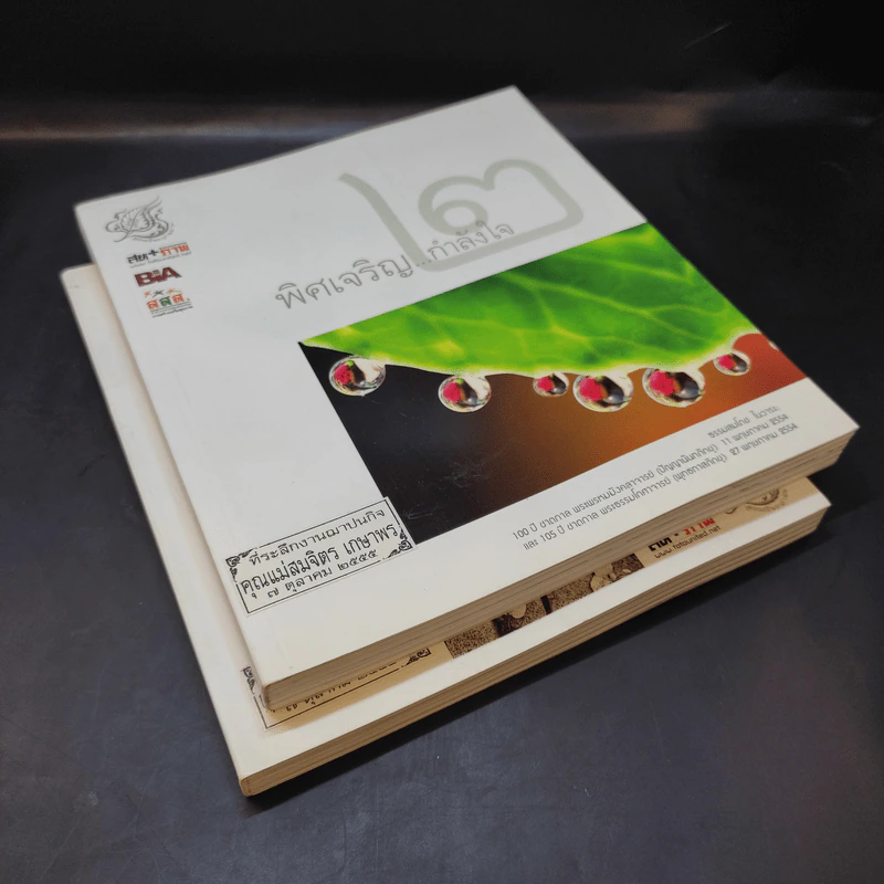 พิศเจริญ เล่ม 1-2 อัลบั้มภาพและอมตธรรมแห่งสองศรีพระศาสนา รูปที่ 7