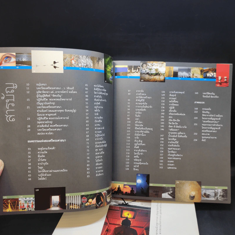 พิศเจริญ เล่ม 1-2 อัลบั้มภาพและอมตธรรมแห่งสองศรีพระศาสนา รูปที่ 11