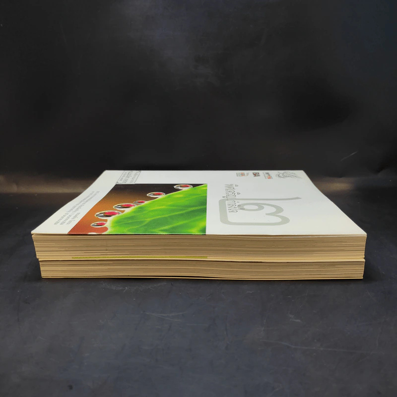 พิศเจริญ เล่ม 1-2 อัลบั้มภาพและอมตธรรมแห่งสองศรีพระศาสนา รูปที่ 4