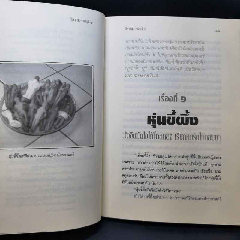 วิชาไสยศาสตร์ ตอน ทำเสน่ห์ให้รัก ทำคุณไสยให้หลง - ดามภ์ เสาเหม รูปที่ 11