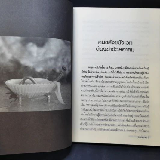พลังมืด คนเล่นของ ไสยศาสตร์แห่งความตาย - ว.ไสยเวท รูปที่ 12
