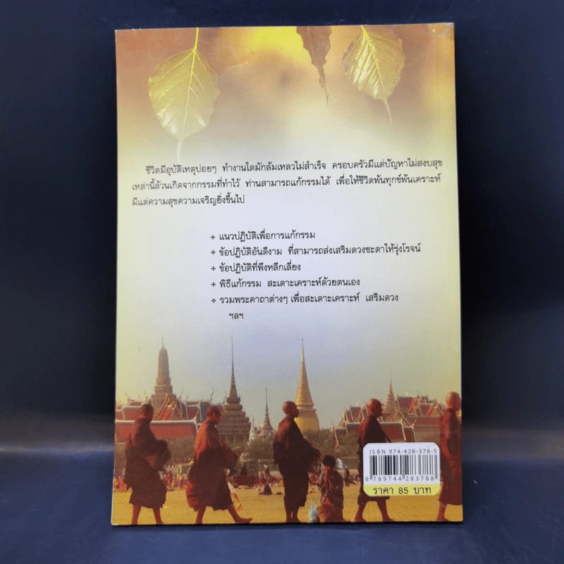 แก้กรรม ทำบุญเสริมดวง สะเดาะเคราะห์ - ไชยา บุญพิทักษ์ รูปที่ 2