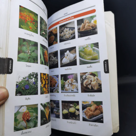 พจนานุกรมไทย ฉบับทันสมัยและสมบูรณ์ รูปที่ 10