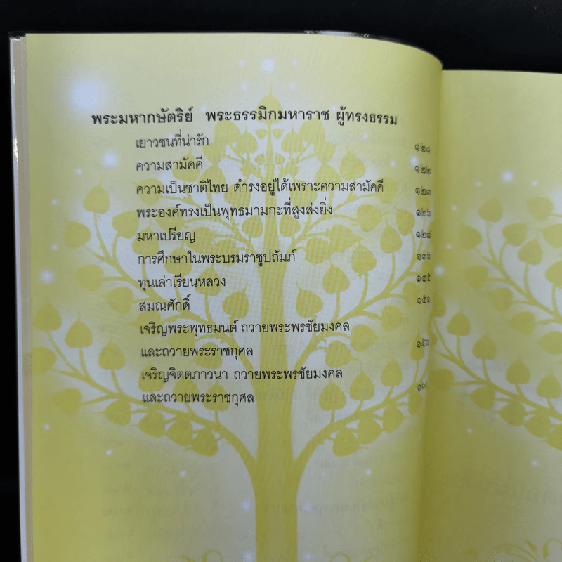 ธรรมะให้ลูกดี - สมเด็จพระพุฒาจารย์ (เกี่ยว อุปเสโณ) รูปที่ 12