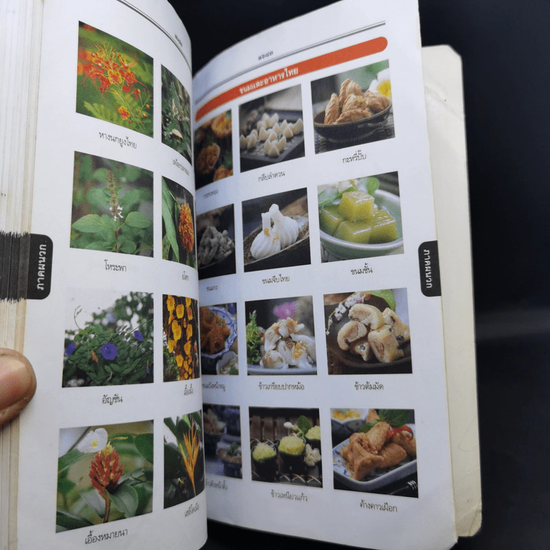 พจนานุกรมไทย ฉบับทันสมัยและสมบูรณ์ รูปที่ 10