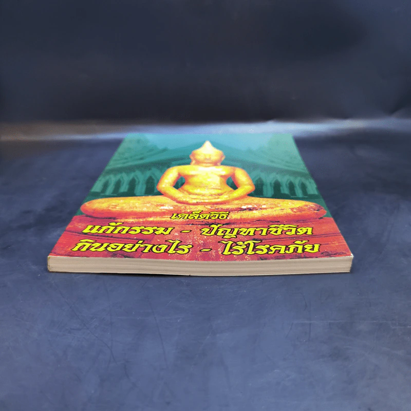เคล็ดวิธีแก้กรรม-ปัญหาชีวิต กินอย่างไรไร้โรคภัย รูปที่ 4