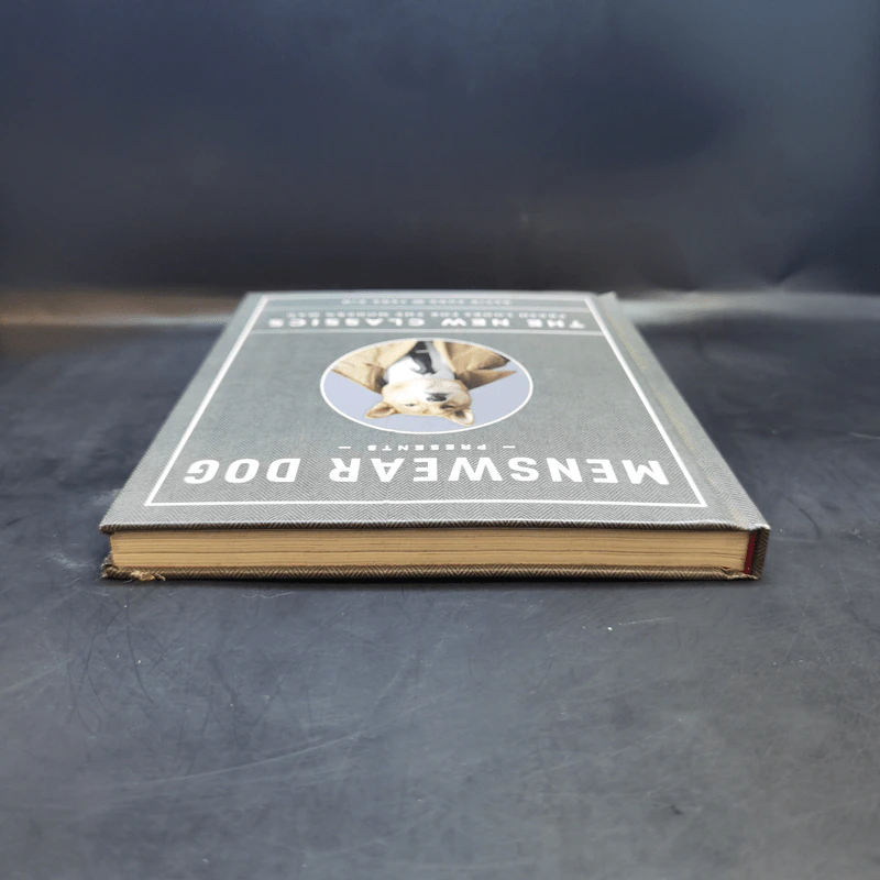 The New Classics - Menswear Dog รูปที่ 6