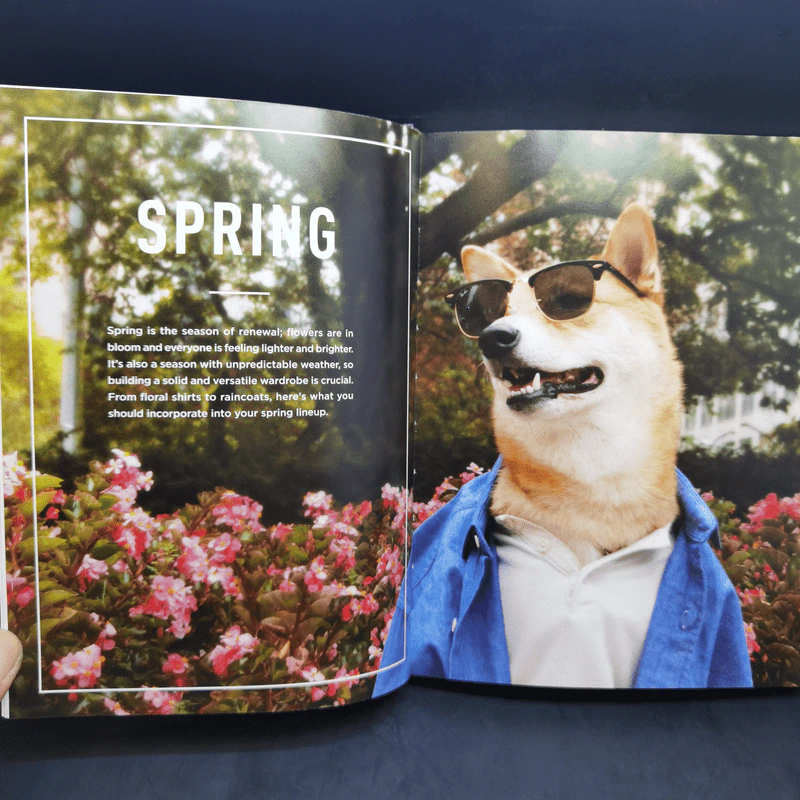 The New Classics - Menswear Dog รูปที่ 12