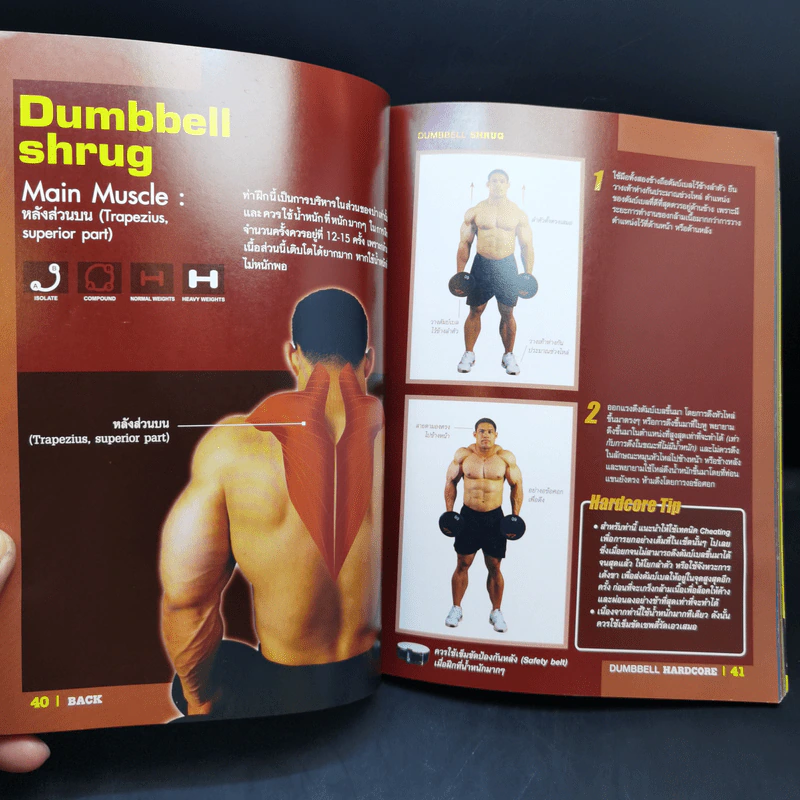 Dumbbell Hardcore หล่อล่ำด้วยดัมบ์เบล รูปที่ 14