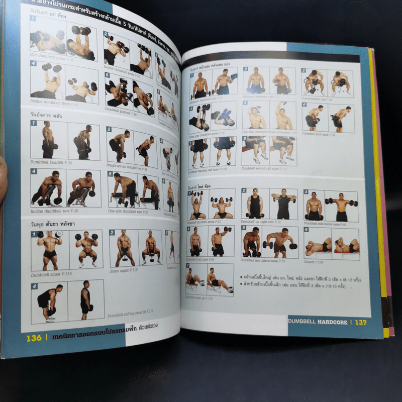Dumbbell Hardcore หล่อล่ำด้วยดัมบ์เบล รูปที่ 15