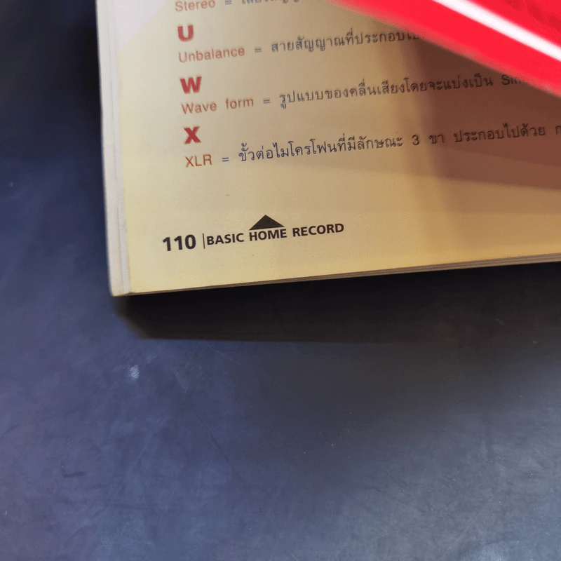 Basic Home Record เบสิก โฮม เรคคอร์ด - อ.พิซซ่า วงพราว รูปที่ 11