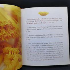 Pasta Lover พาสต้า - ธนภูมิ อโศกตระกูล รูปที่ 12