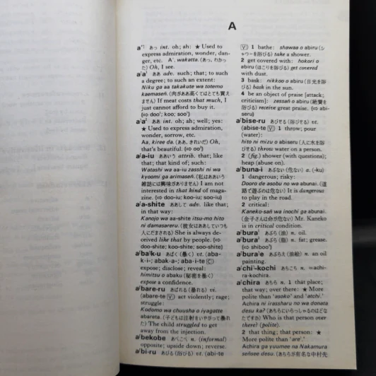 Pocket Kenkyusha Japanese Dictionary รูปที่ 13