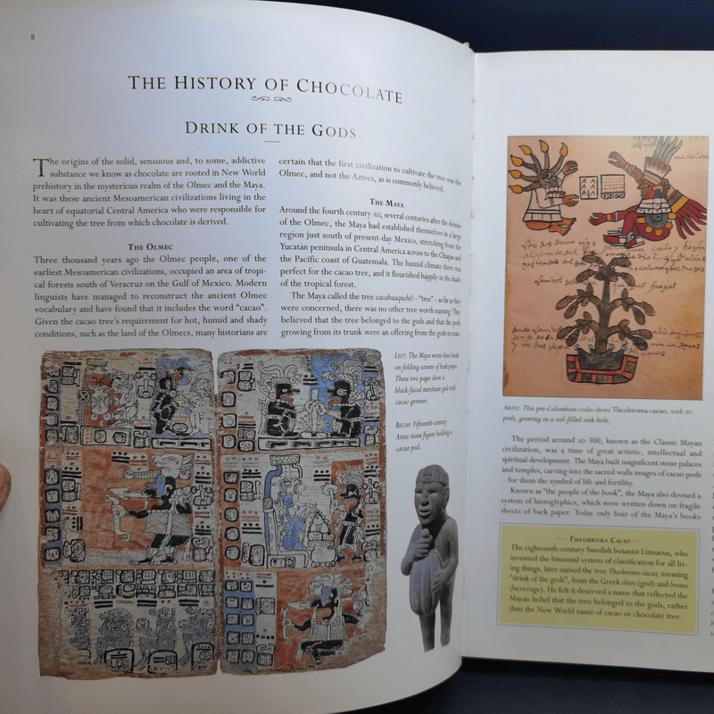 Chocolate Bible รูปที่ 11