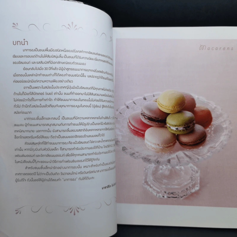มาการอง - มาชาฮิโตะ โมะโตะฮาชิ รูปที่ 7