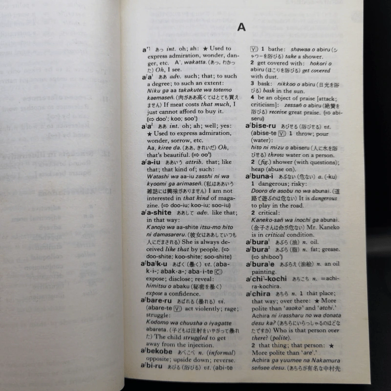 Pocket Kenkyusha Japanese Dictionary รูปที่ 13