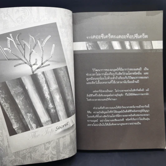 The Top Secret เดอะท็อปซีเคร็ต - ทันตแพทย์สม สุจีรา รูปที่ 13