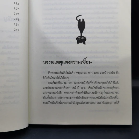 โลกใบเล็กของหลวงพ่อดอน คามิลโล - โจวานนี กวาเรสกิ รูปที่ 13