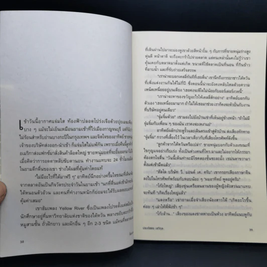 ไฟอมตะ - วิกรม กรมดิษฐ์ รูปที่ 12