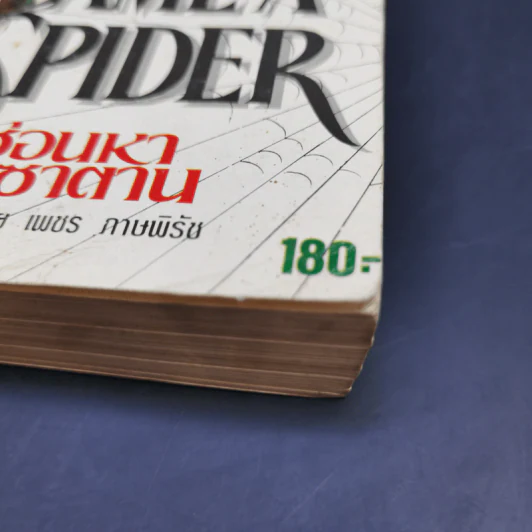 Along Came a Spider ซ่อนหากับซาตาน - James Patterson รูปที่ 14