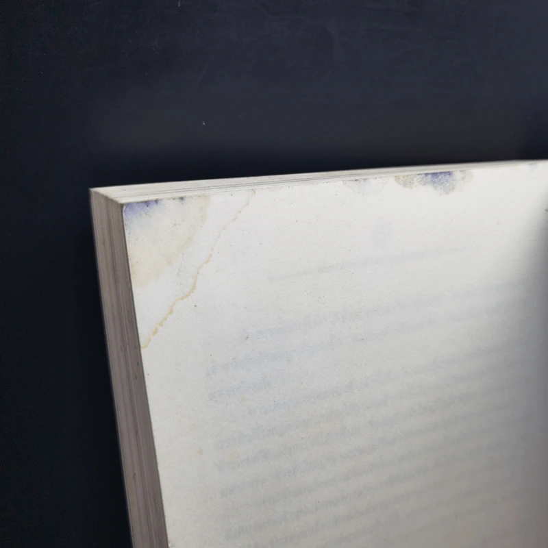 ตามรอยสมเด็จพระนเรศวรมหาราช - ม.จ.ชาตรีเฉลิม ยุคล รูปที่ 12