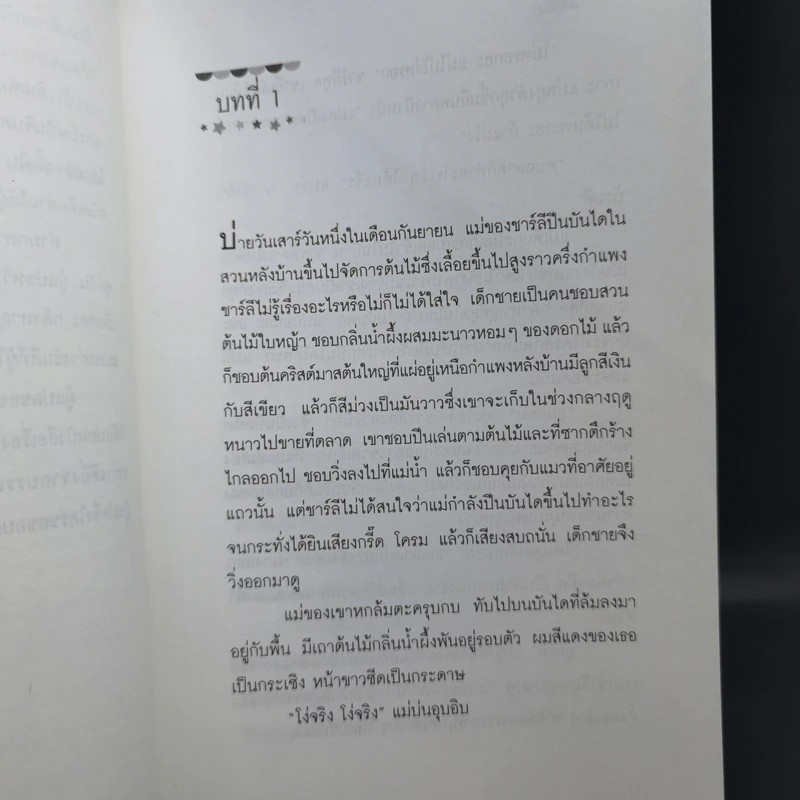 ไลอ้อนบอย - ซิซู คอร์เดอร์ รูปที่ 10