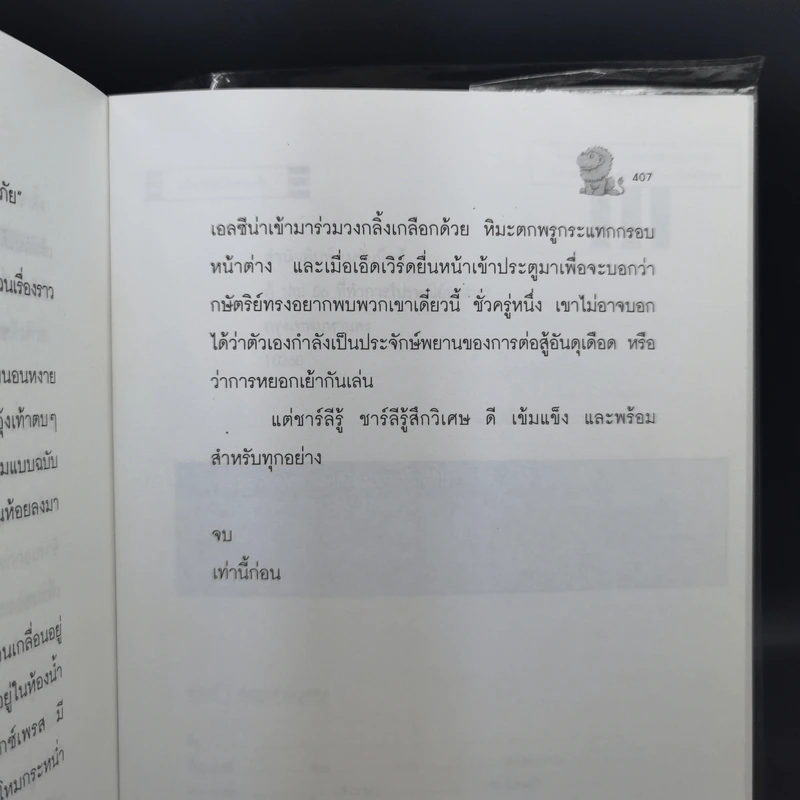 ไลอ้อนบอย - ซิซู คอร์เดอร์ รูปที่ 11