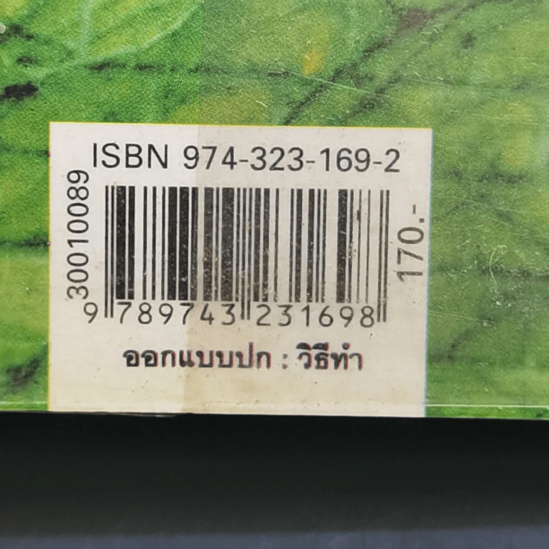 เหยื่อมายา Cat's Prey - มนันยา แปล รูปที่ 14