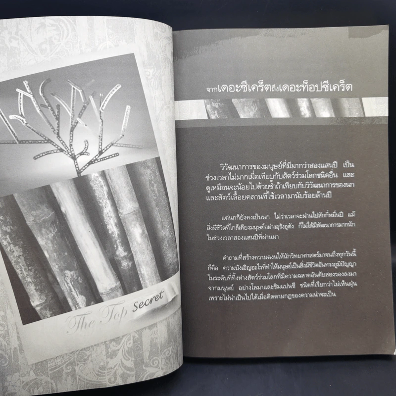 The Top Secret เดอะท็อปซีเคร็ต - ทันตแพทย์สม สุจีรา รูปที่ 13