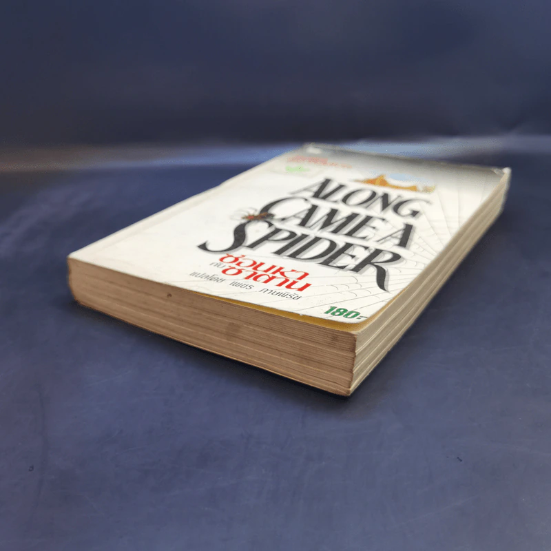 Along Came a Spider ซ่อนหากับซาตาน - James Patterson รูปที่ 7