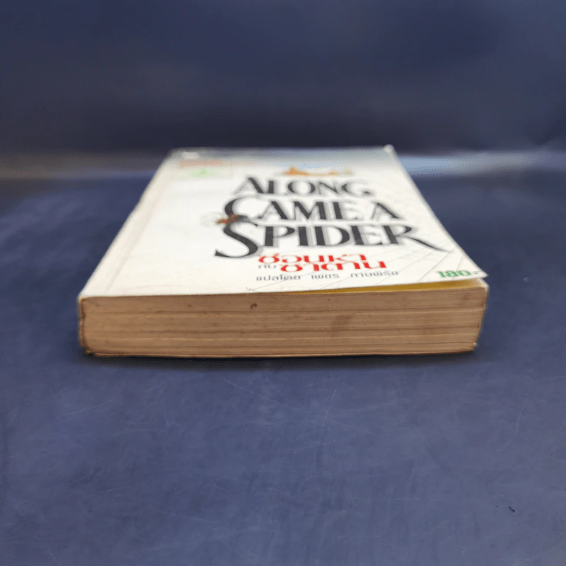 Along Came a Spider ซ่อนหากับซาตาน - James Patterson รูปที่ 4