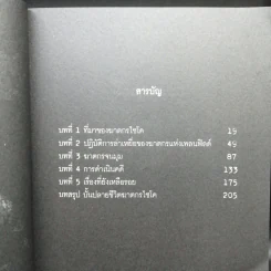ฆ่าถลกศพ - กอบกุล รูปที่ 8